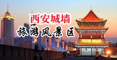 18禁站长统计中国陕西-西安城墙旅游风景区